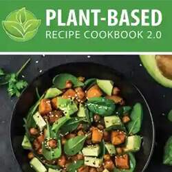 The Plant-Based Recipe Cookbook